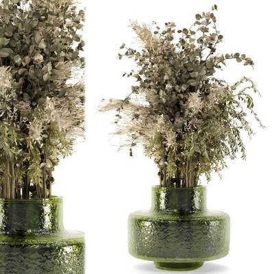 玻璃盆中的室内植物